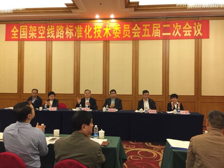 pp电子电气集团应邀加入天下倾轧线路标准化手艺委员会五届二次聚会